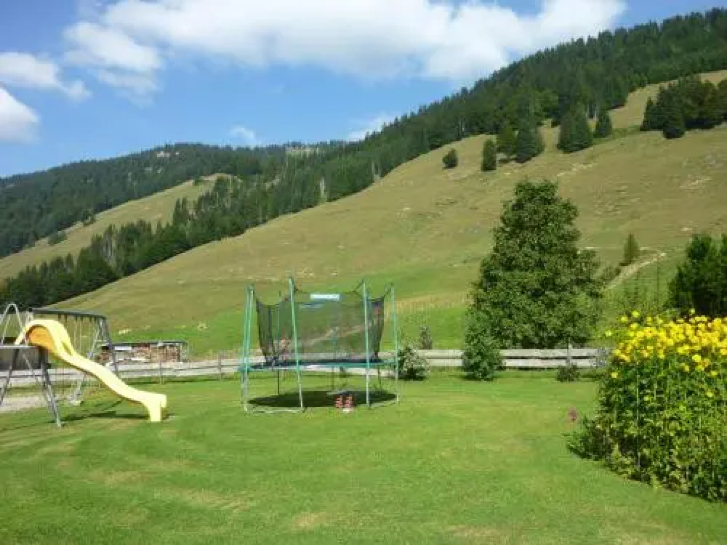 Bim schwarza Stürar & Haus Hedwig