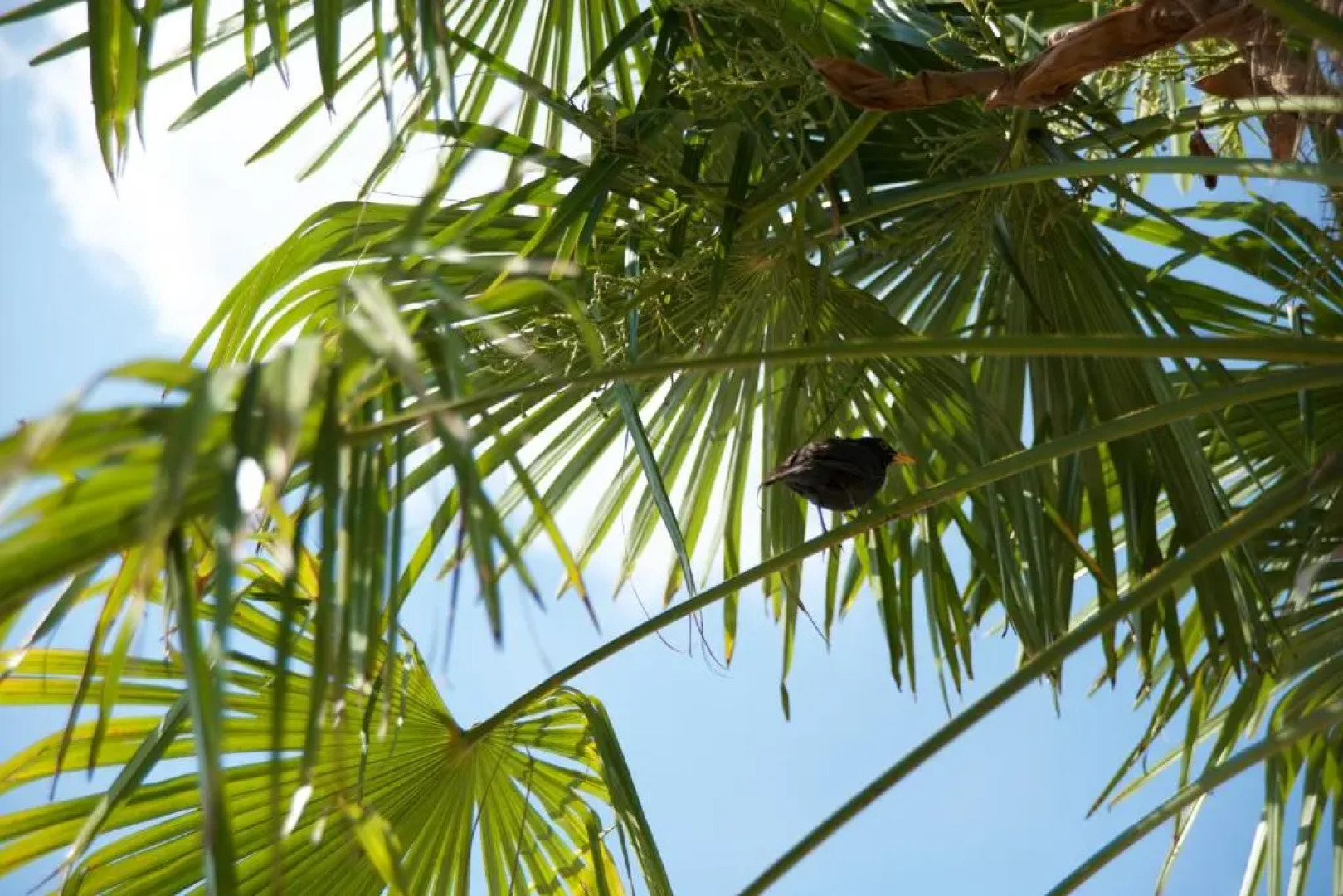 Agriturismo Albarello