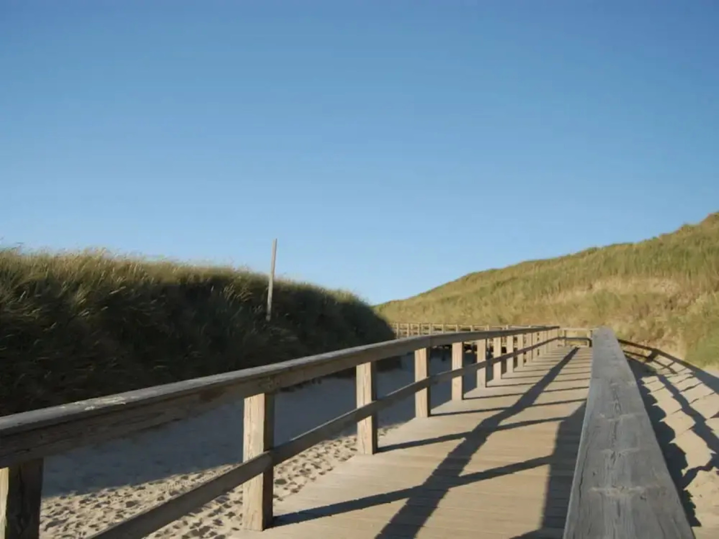 D Wilting in the House