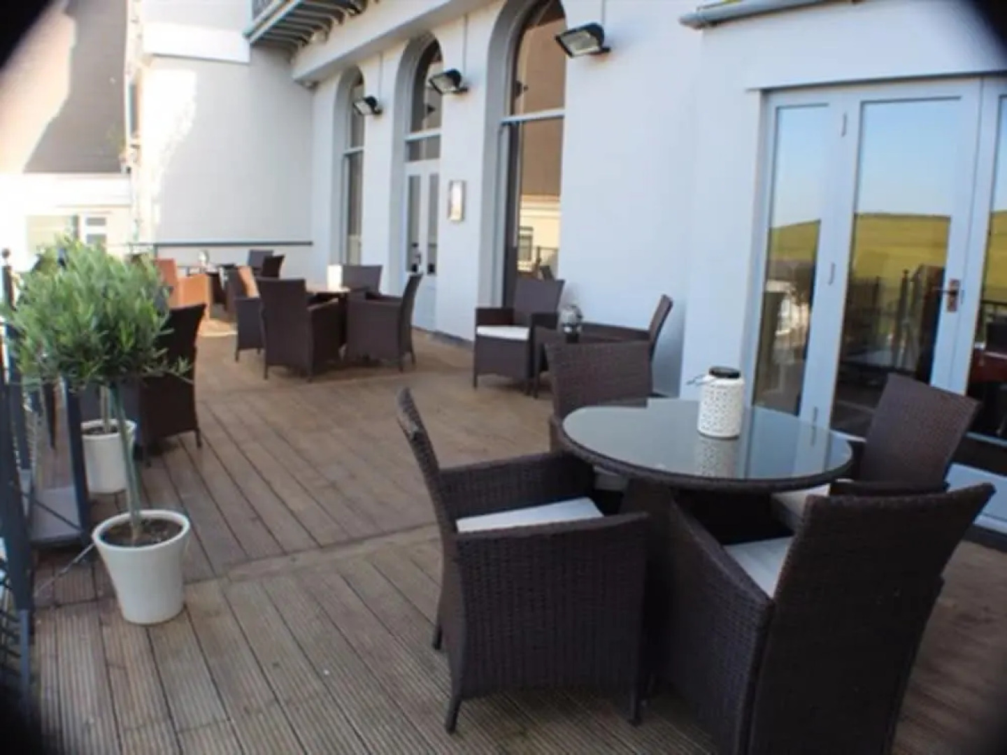 The Tree House Hotel