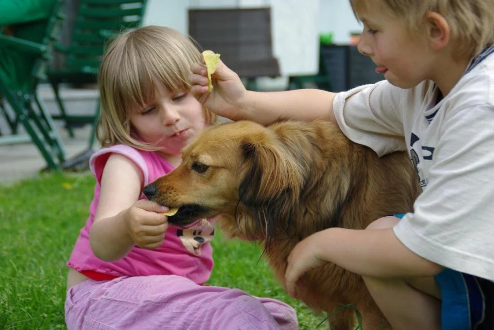 Appartement Wälderhof