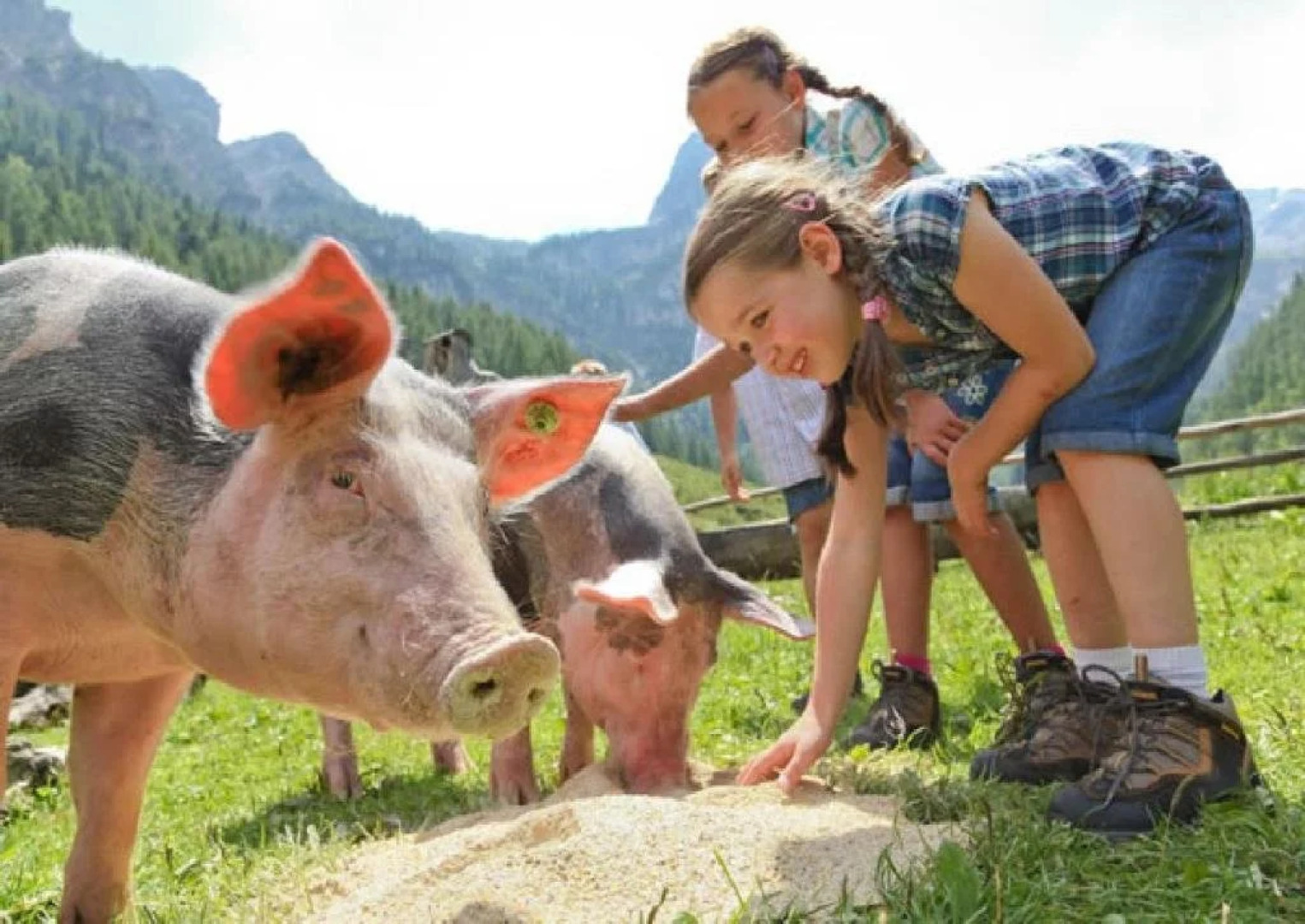 Apartment Gästehaus Luggau