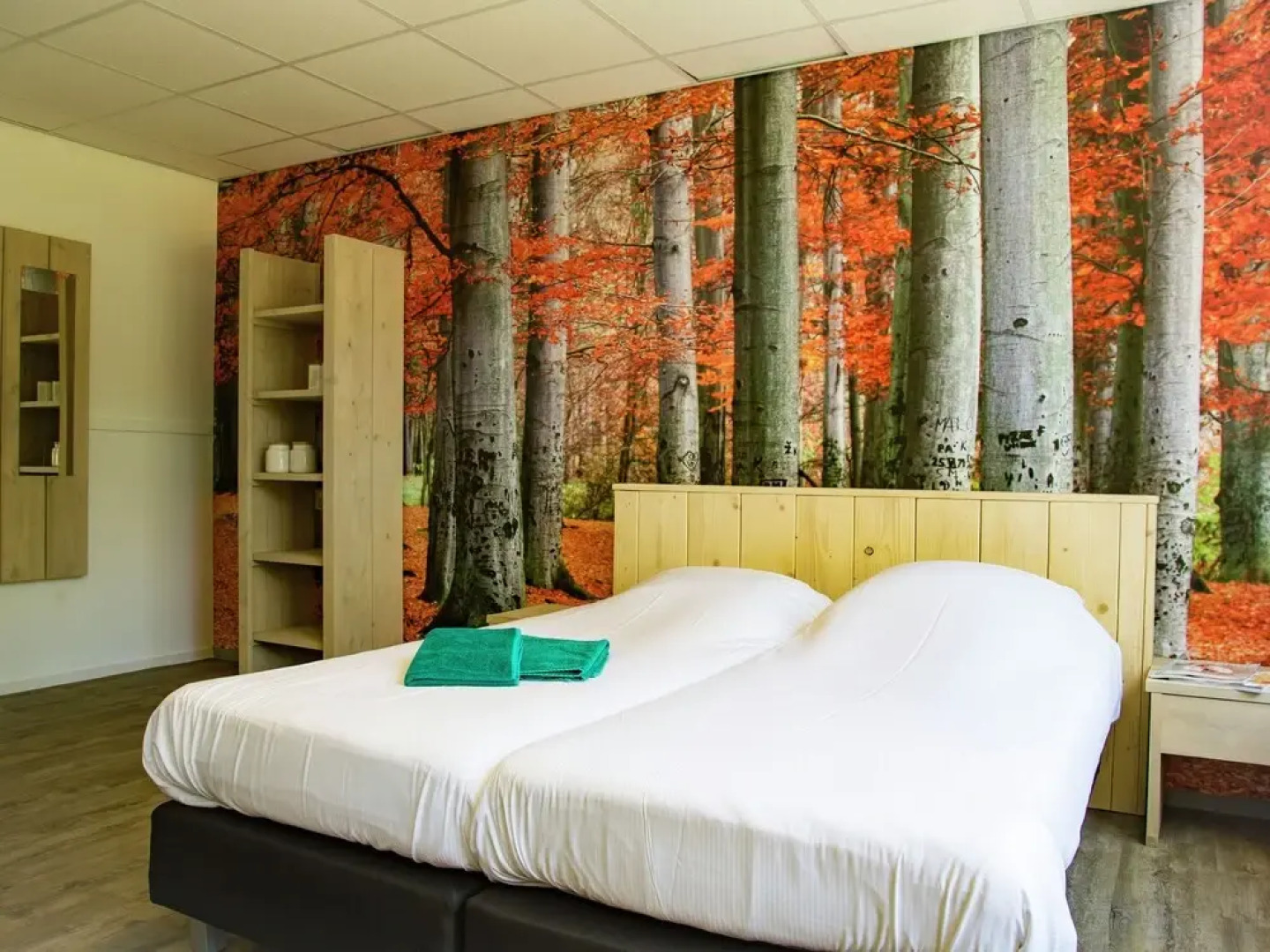 Group Accommodation Near Assen With Barbecue and Fireplace