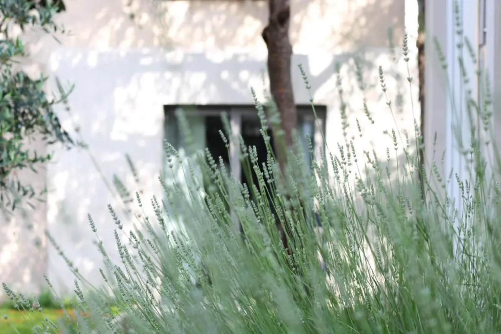 Valsabbion City Studio