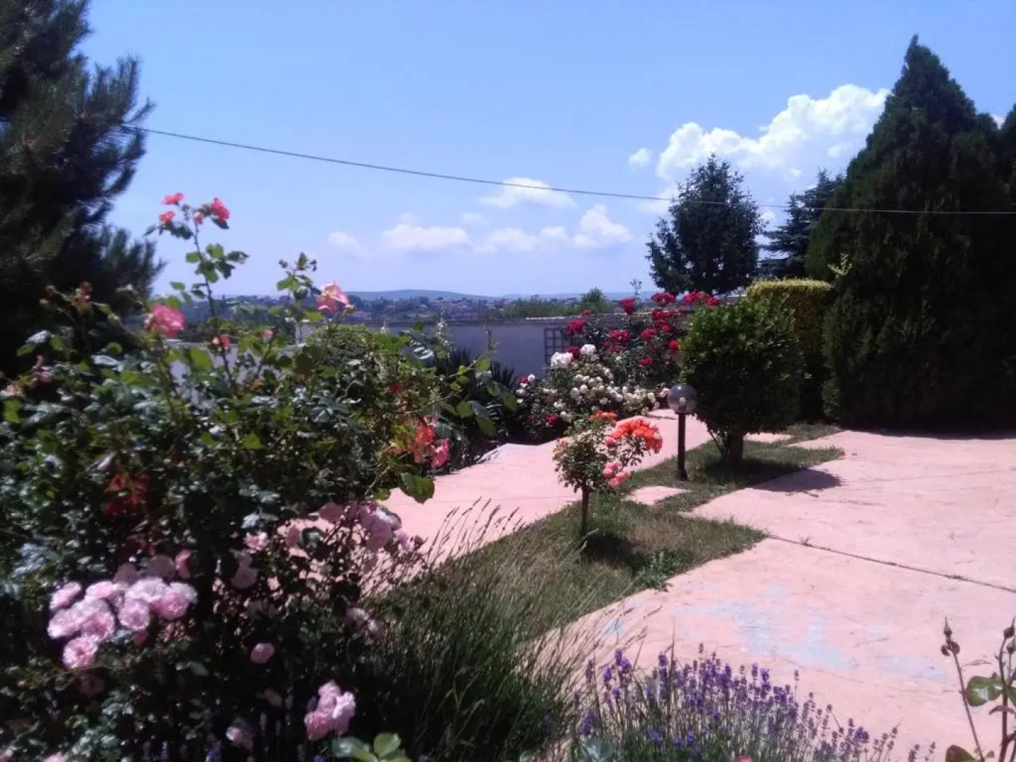 Villa Byala Grape House