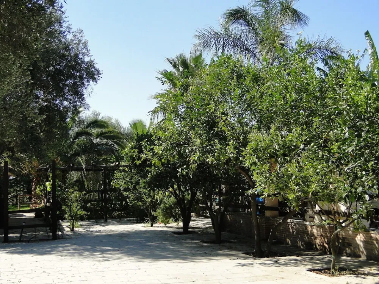 Secluded Holiday Home in Matino With Swimming Pool