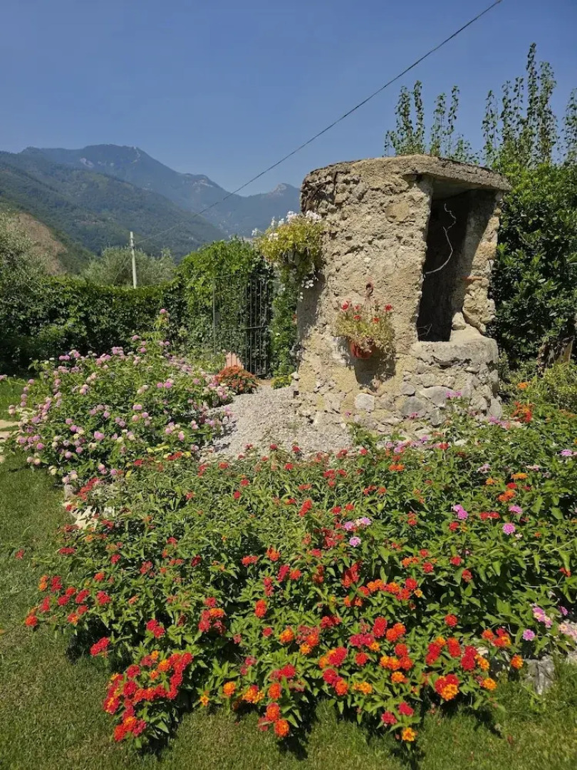 Tramonti Divini Amalfi Country House