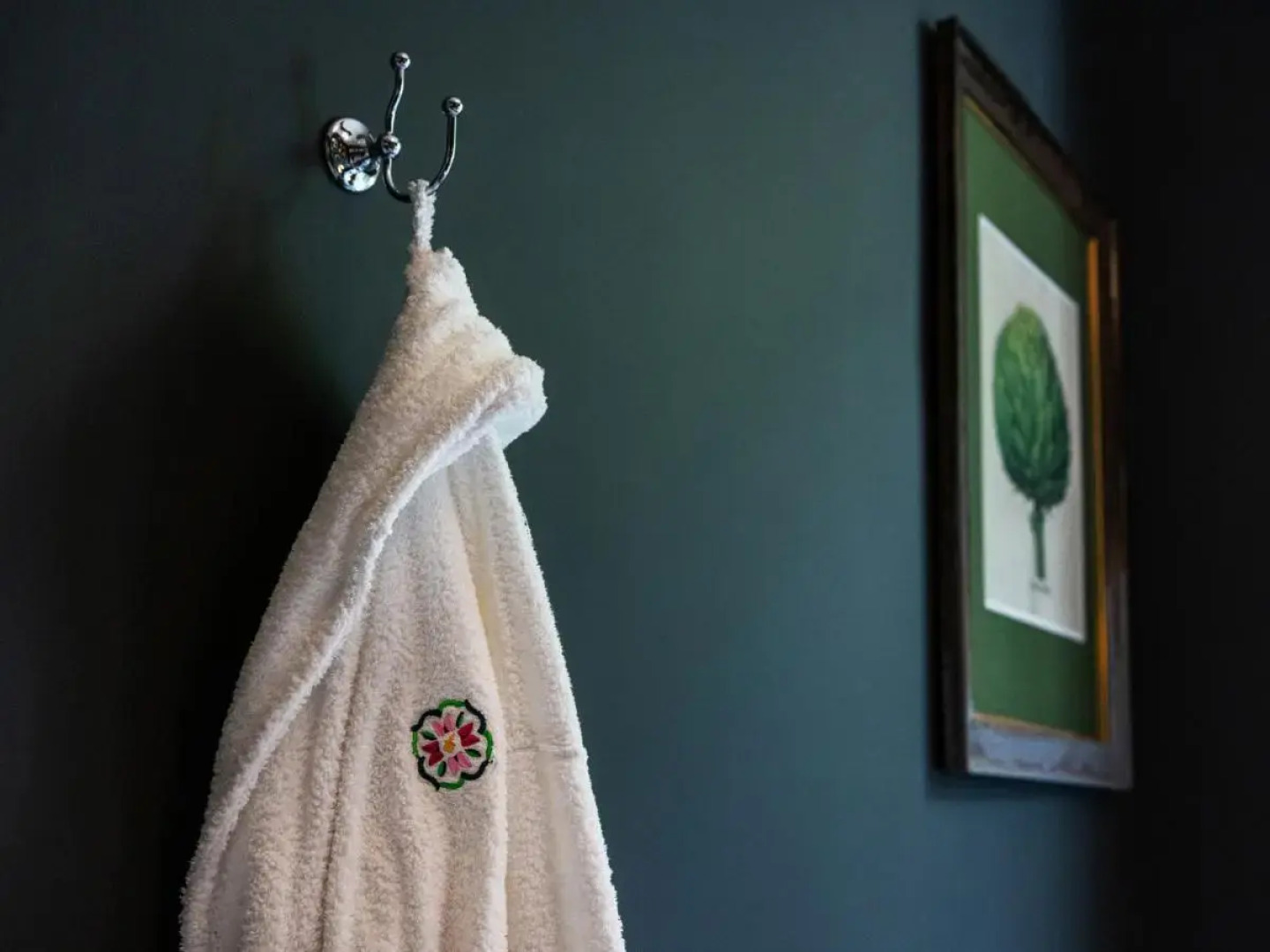 The Forest at Mount Congreve Gardens