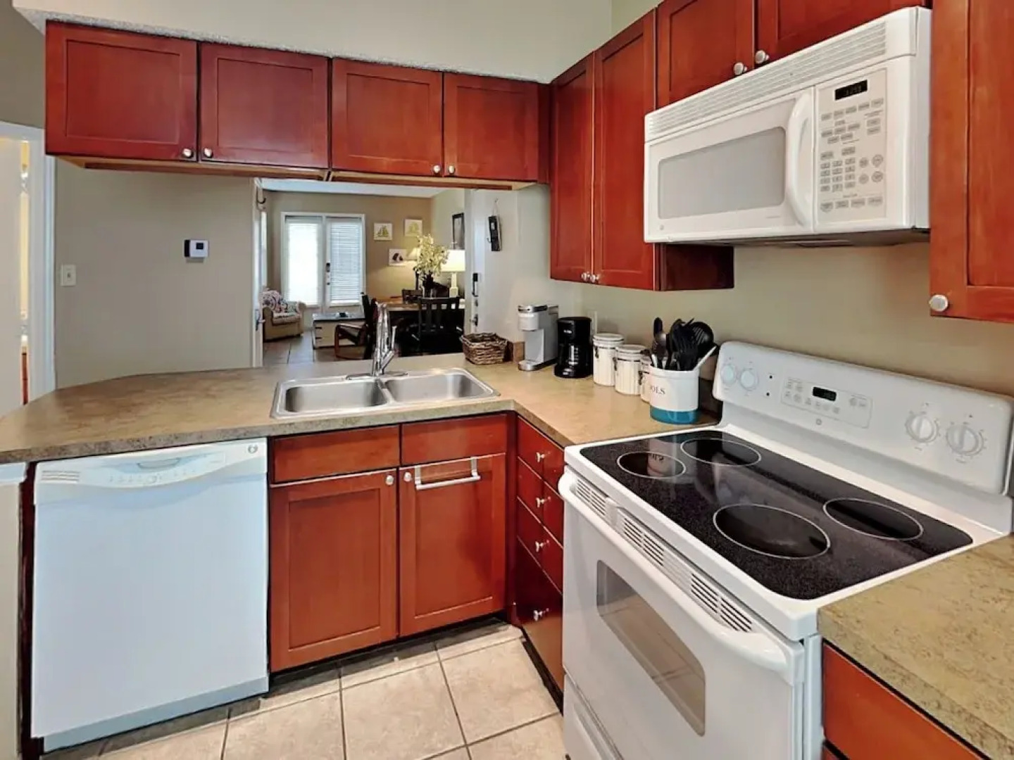 Npi146-the Lazy Turtle