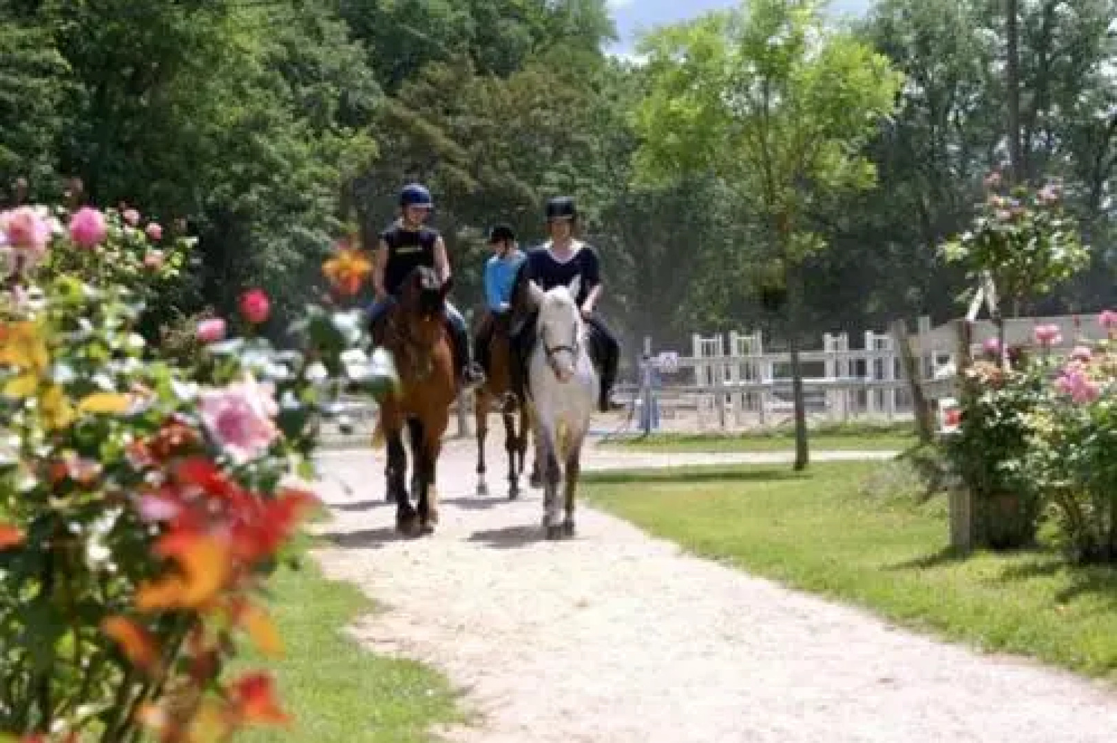 Grand Gite Au Bord Du Cher 10 Minutes De Tours