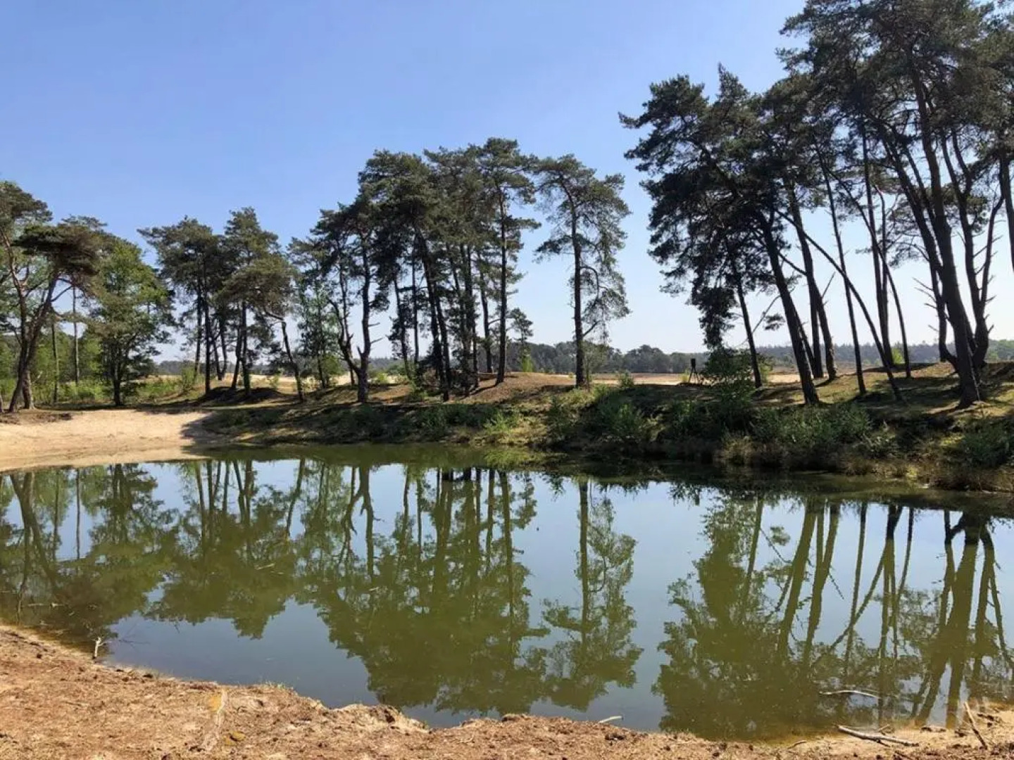 Vakantie op de Veluwe