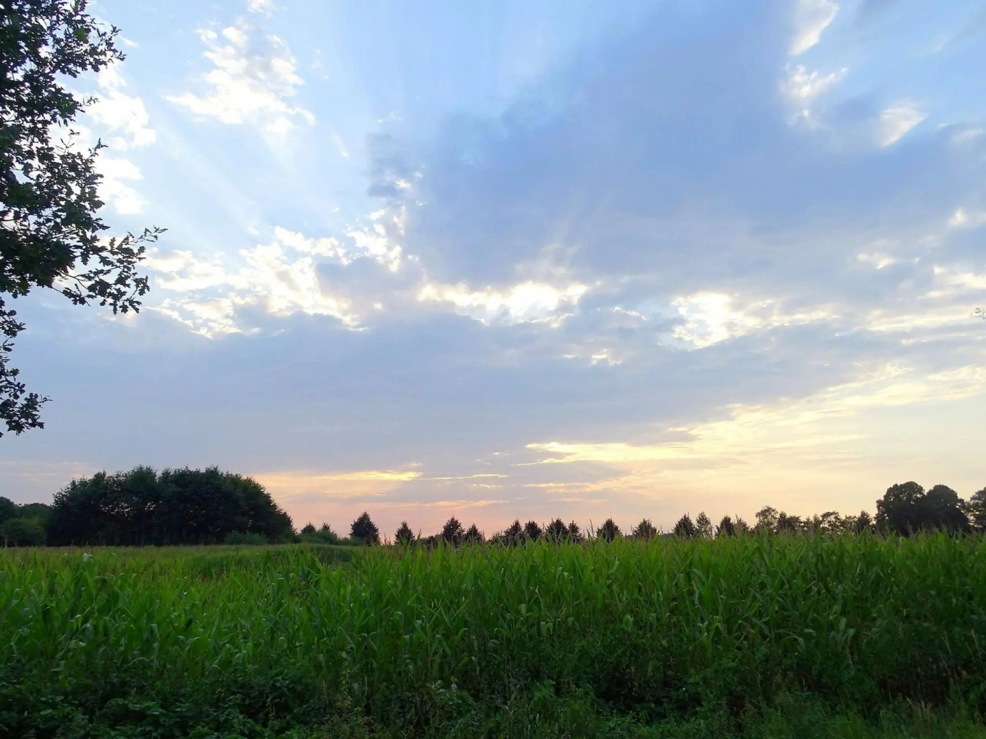 Lovely Cottage in the Middle of Nature