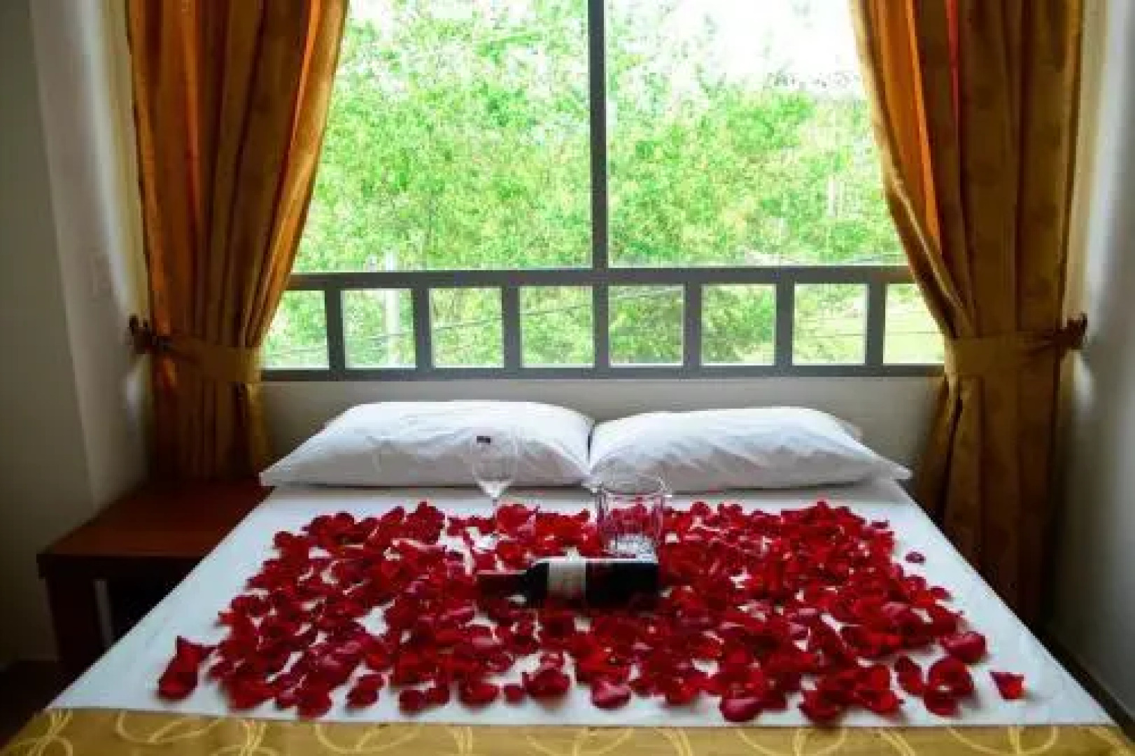 Hotel Tropico Real Mesitas