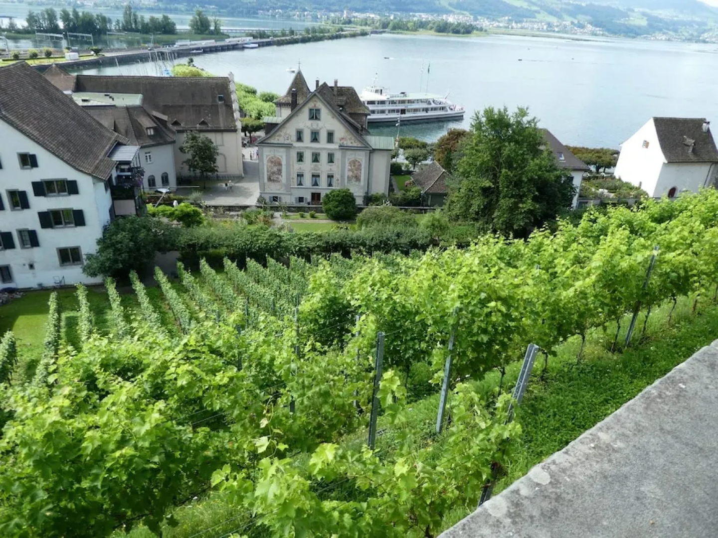 BEST WESTERN PLUS Hotel Speer Rapperswil
