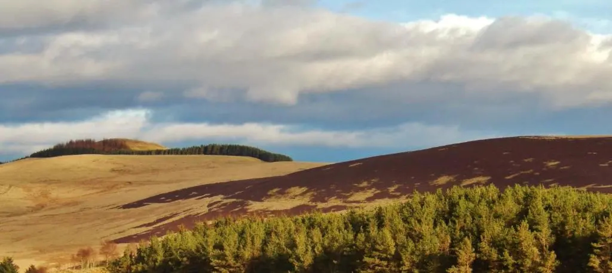 Scotland Shooting Club