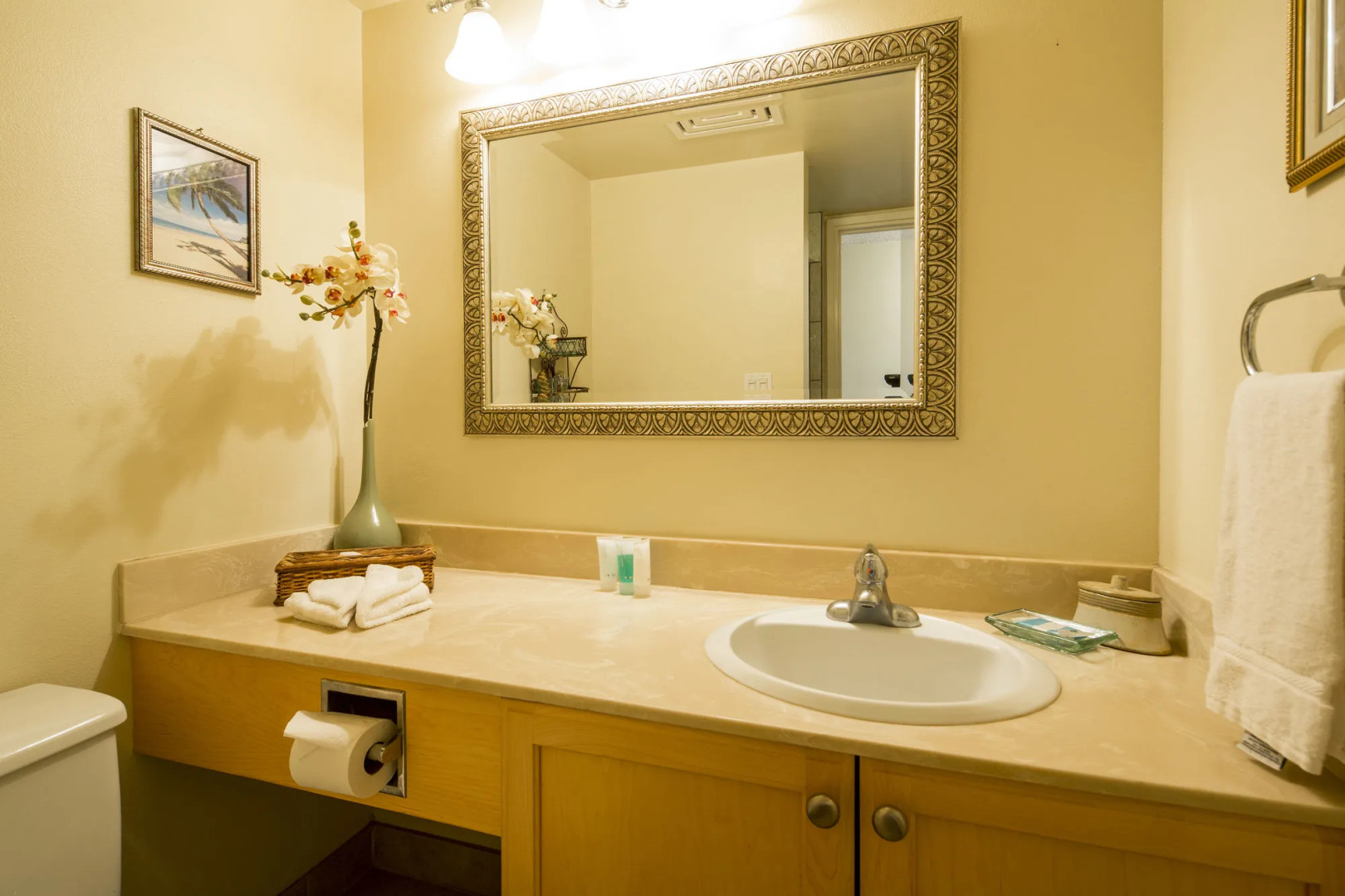 Castle Kama'ole Sands