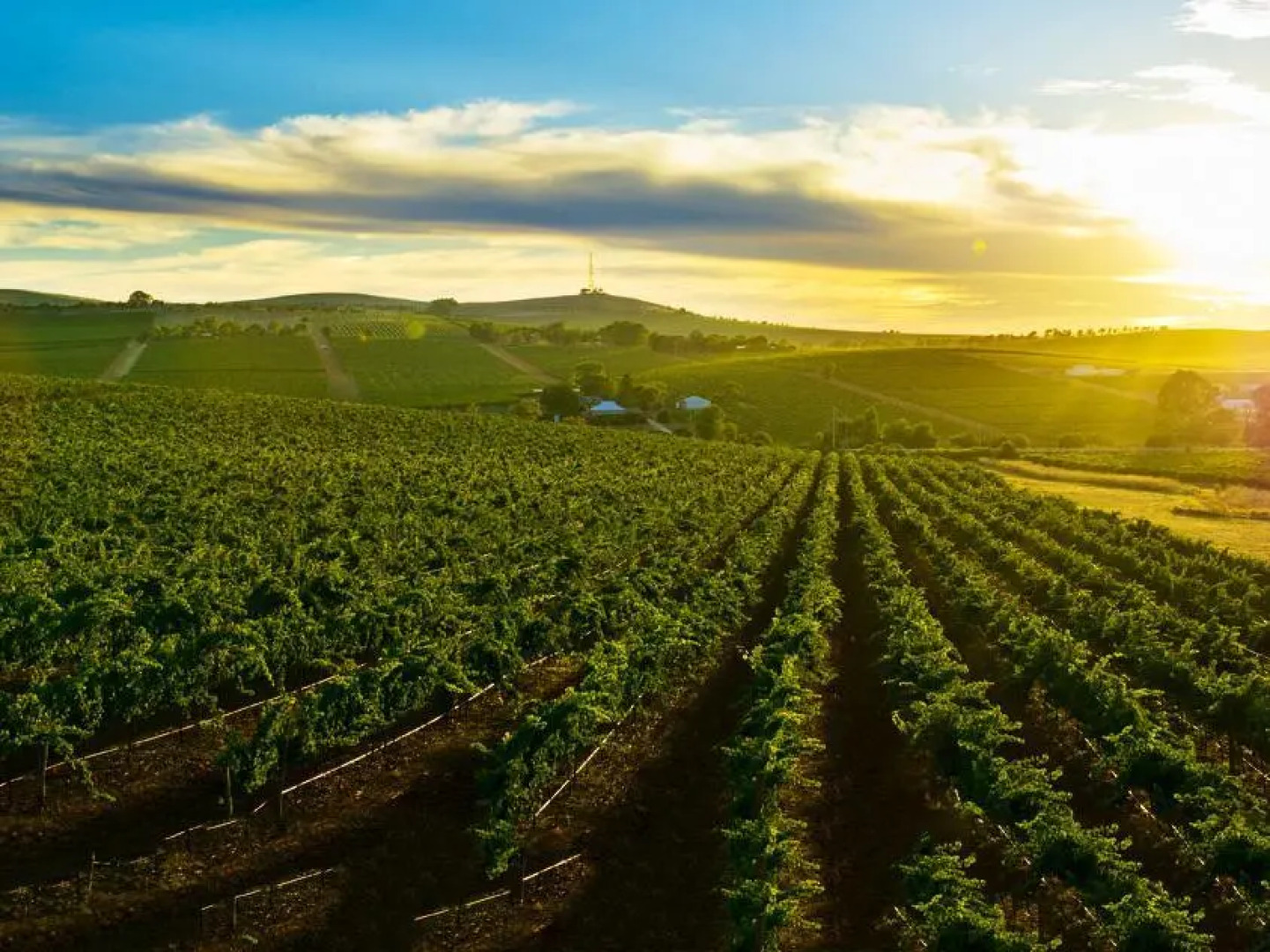 Clare View Accommodation