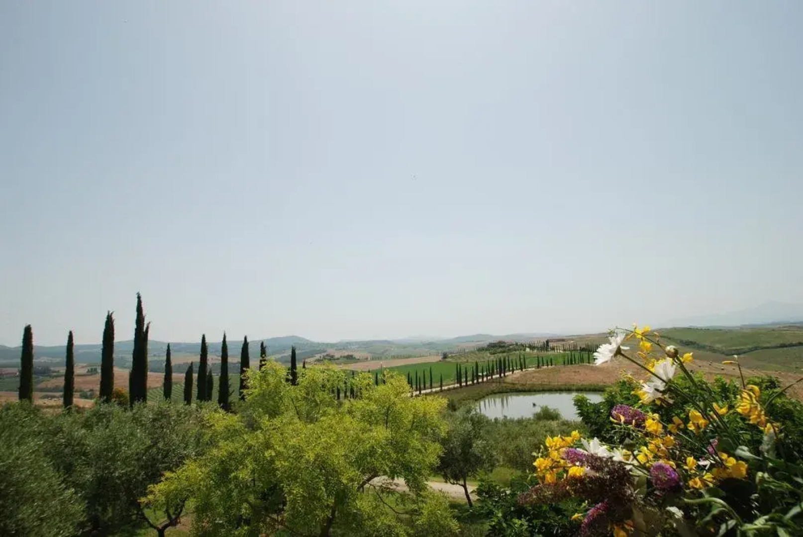 Agriturismo Bellavista