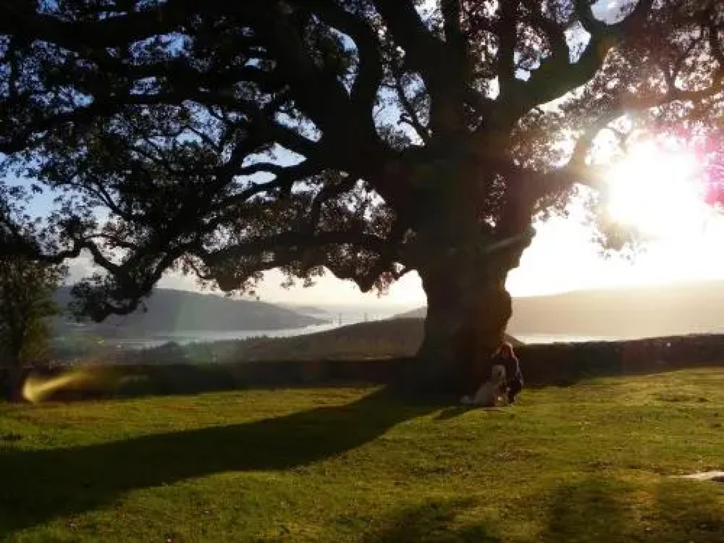 Hospedaje Bahía de San Simon