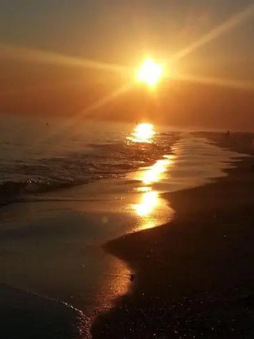 The Original Romar House B&B Inn