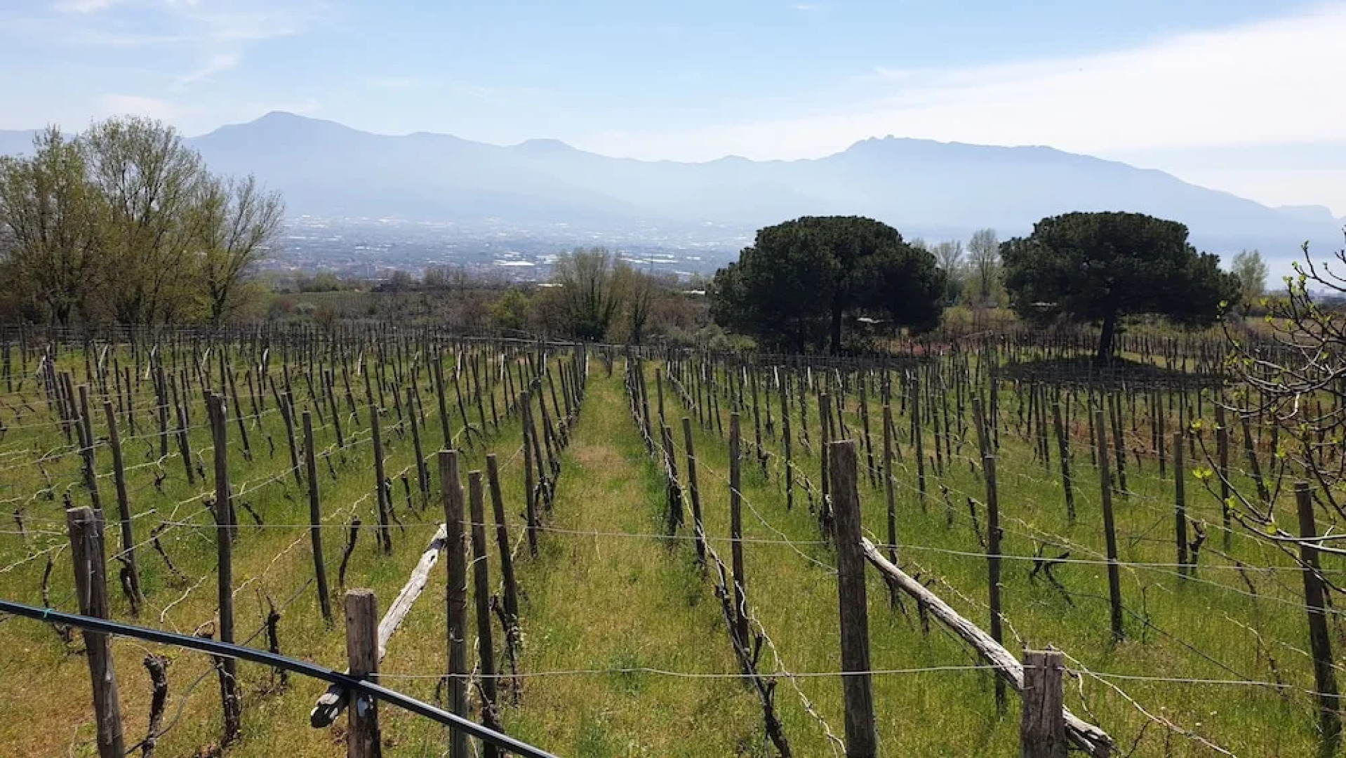 Room-apartment Pompeii Rendine