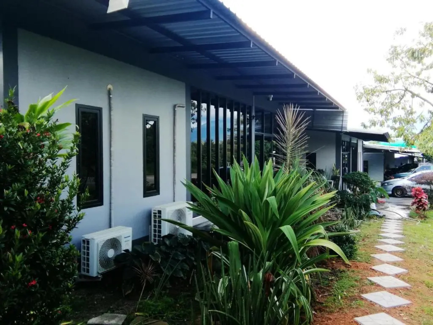 Wilderness Mountain View