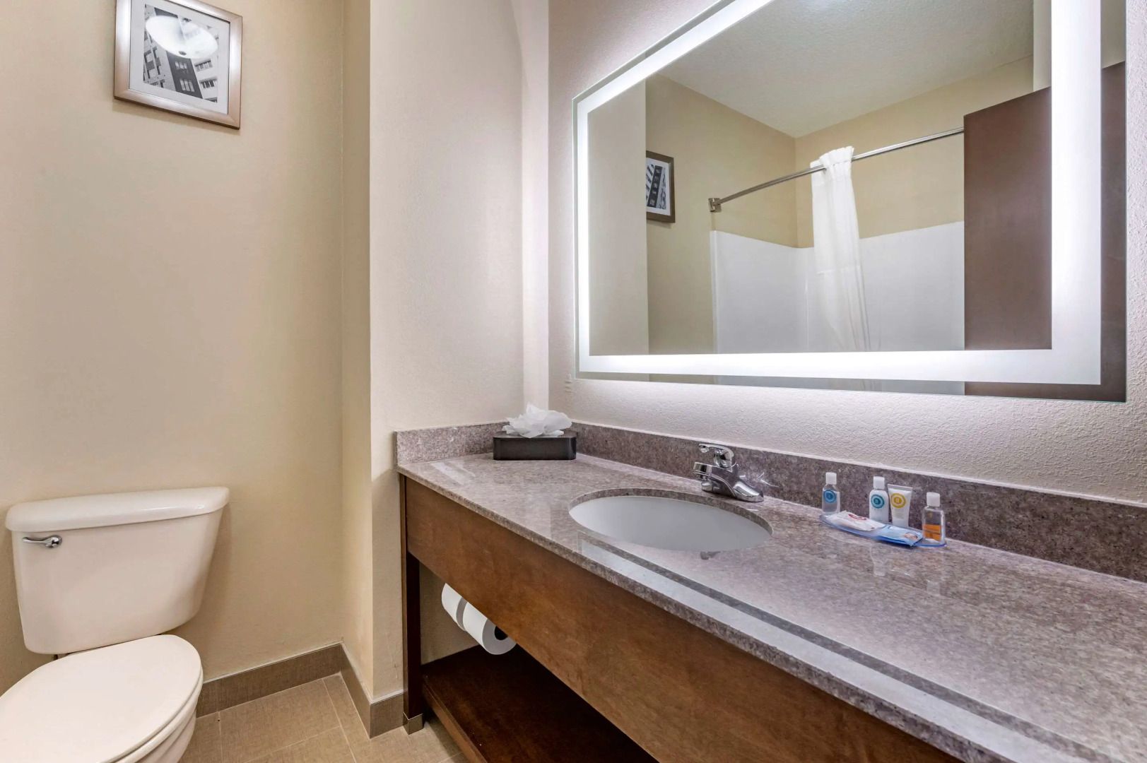 Comfort Inn & Suites Cincinnati Uptown Clifton