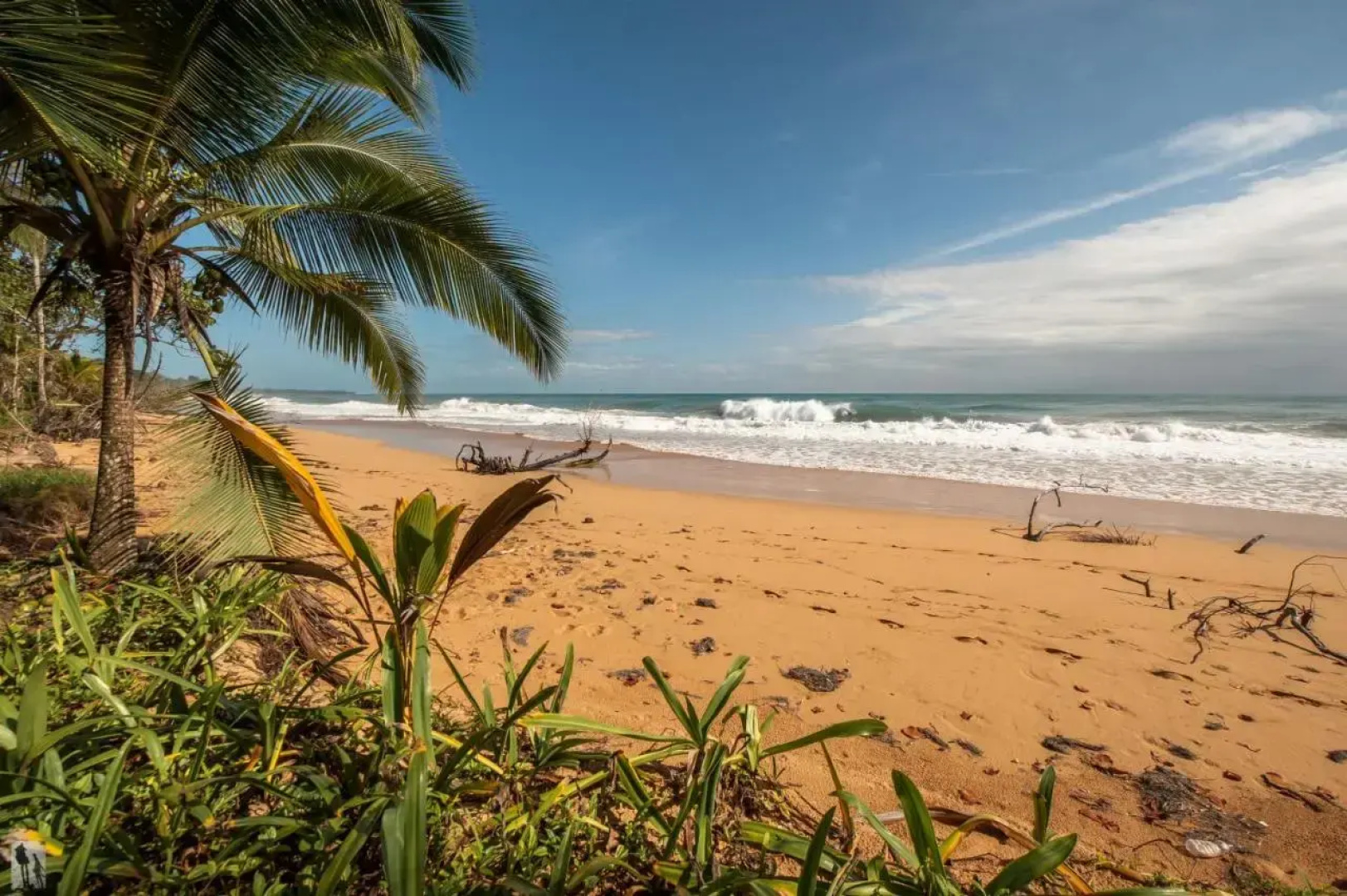 Bocas Condos Rentals