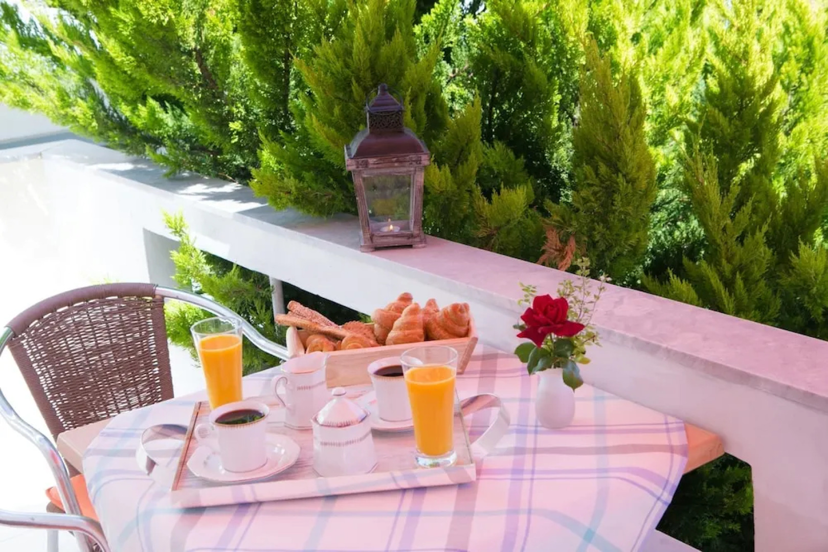 Sunny & Calmness Apartment's