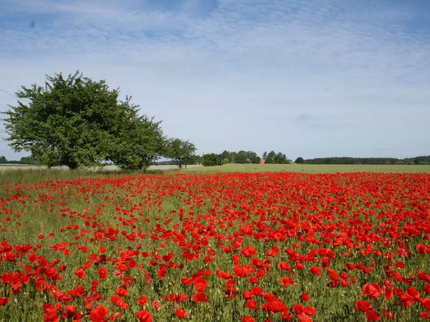 Bungalow in Tessmannsdorf Nahe Salzhaff