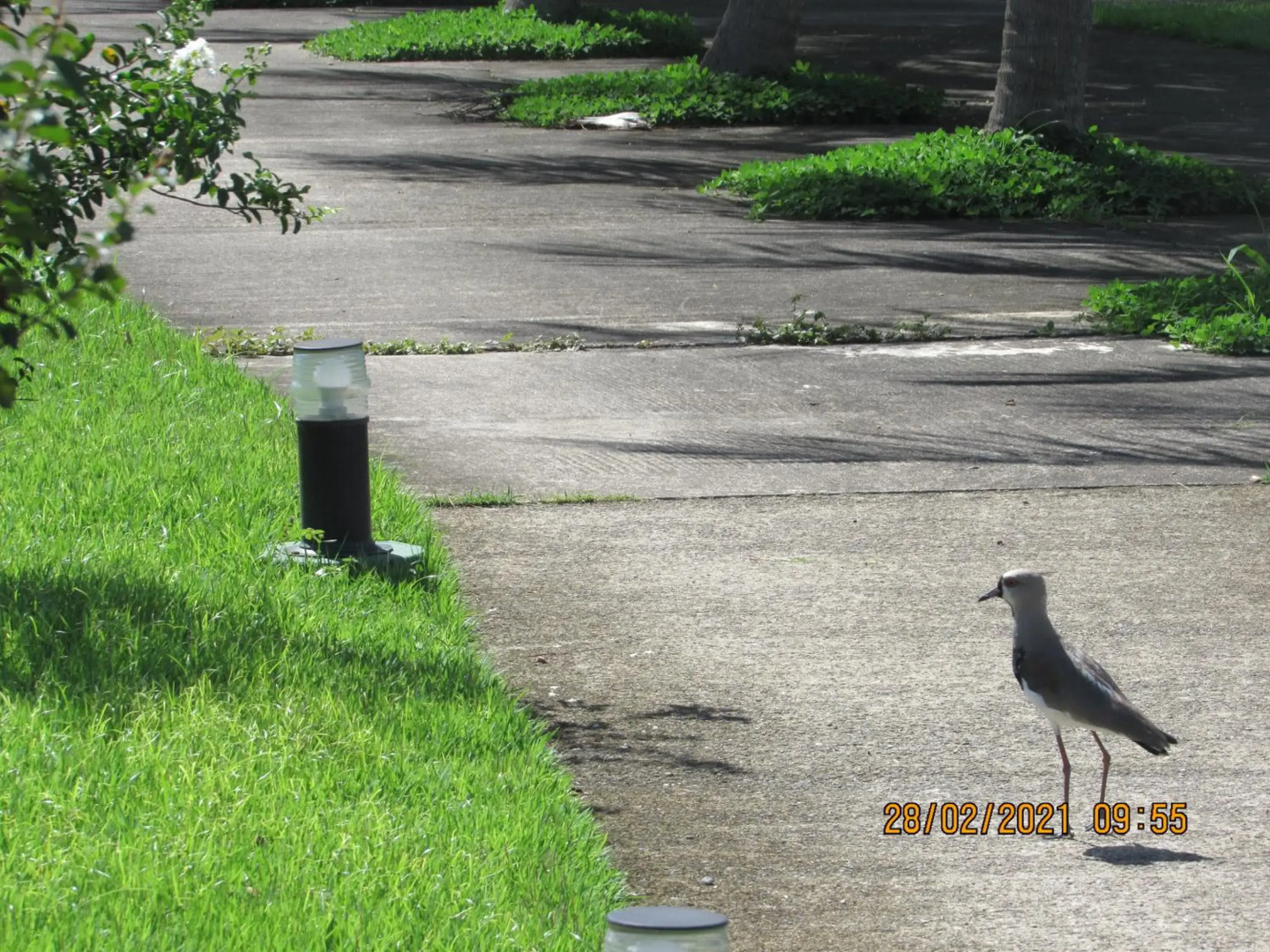 Sahy - Aldeia dos Reis, Condado - Apartamento Quarto e Sala