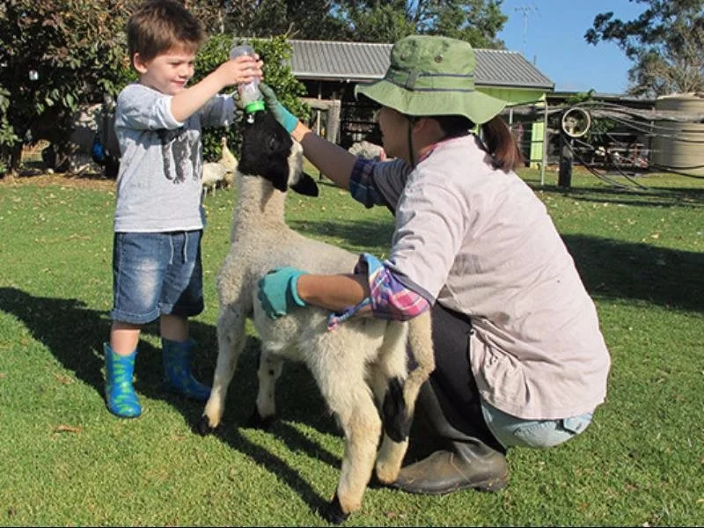 Lee Farm Stay Cottages