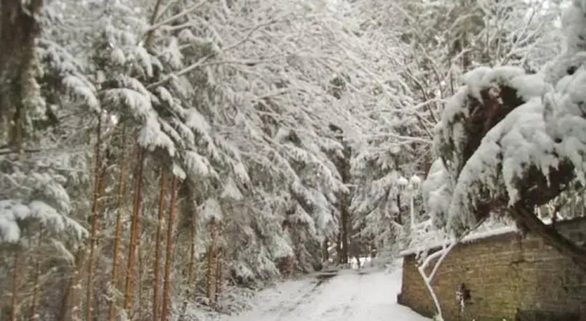 Bikers Point Hunsrück