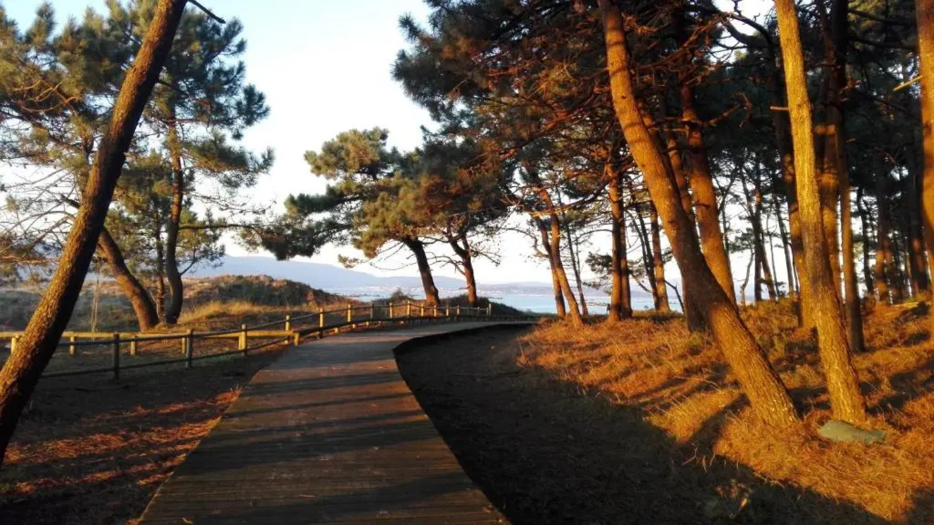 Apartamento Centro - 2 Puertos