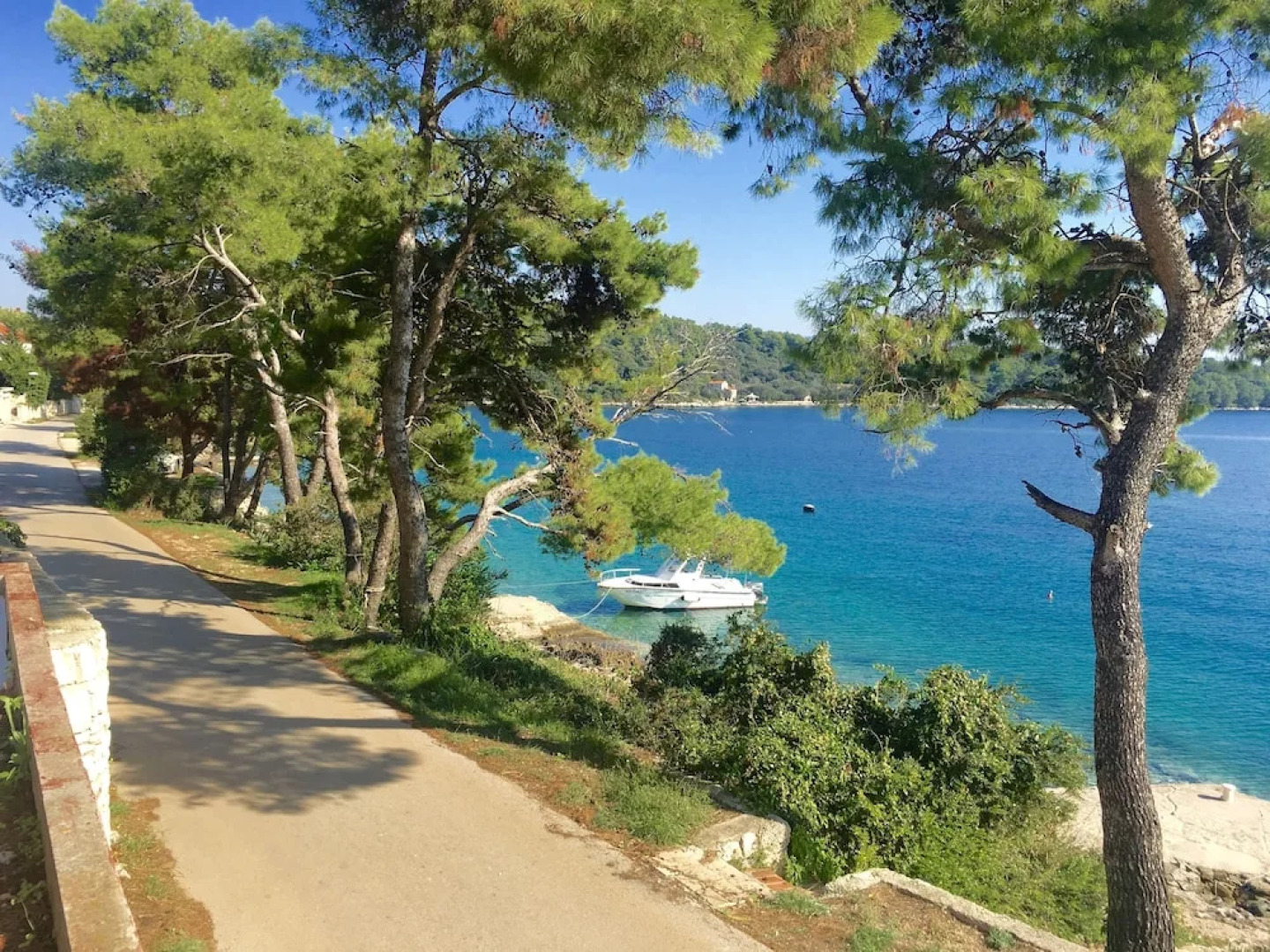 Apartments Lumbarda Bay