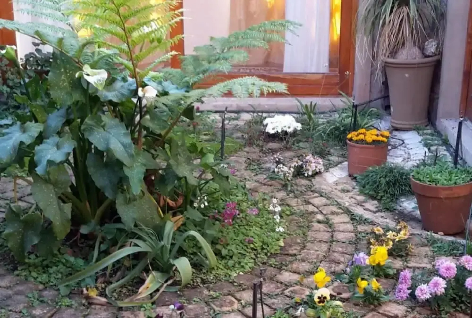 Ahh Chimneys and Roses