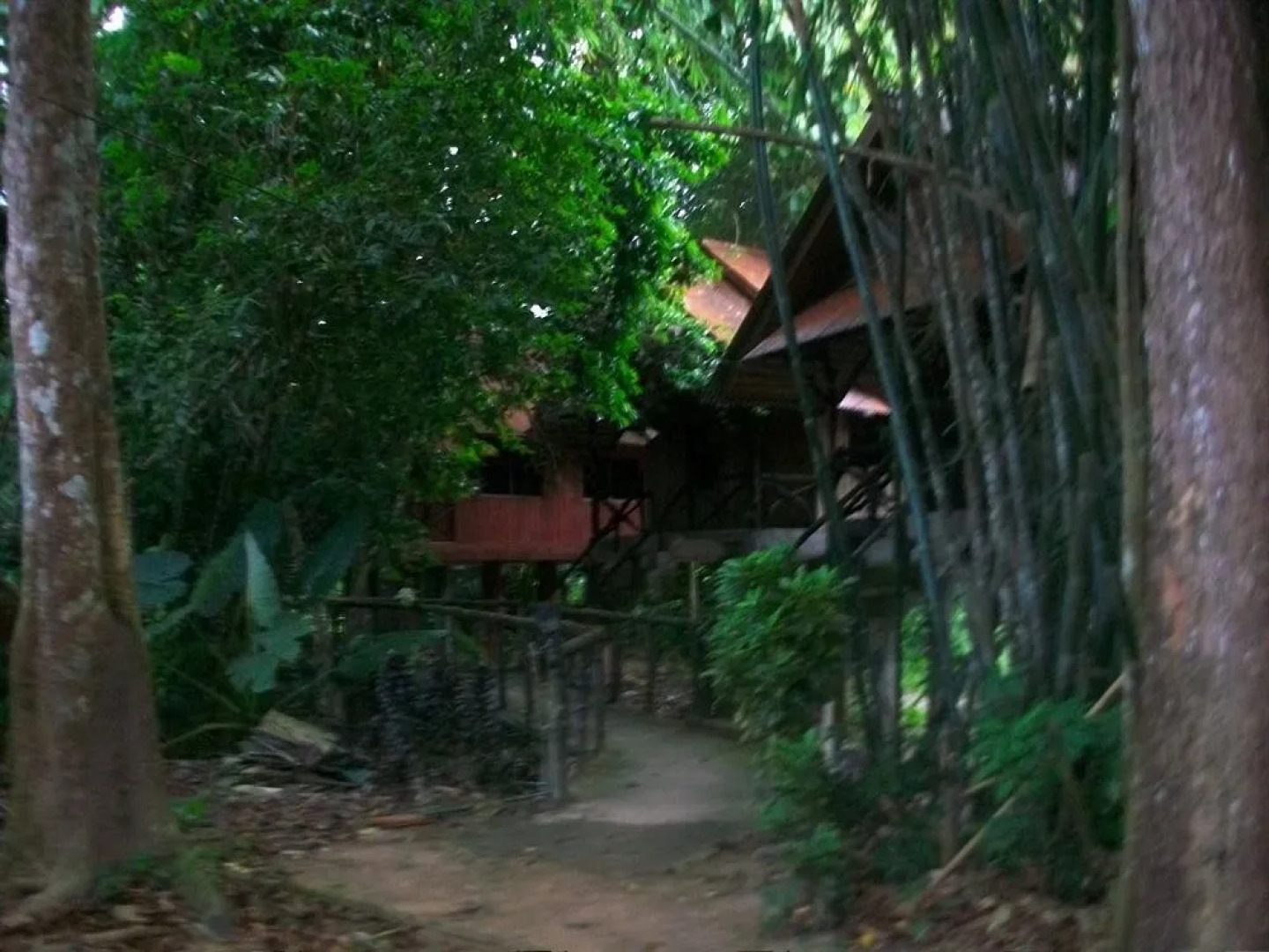 Bamboo House