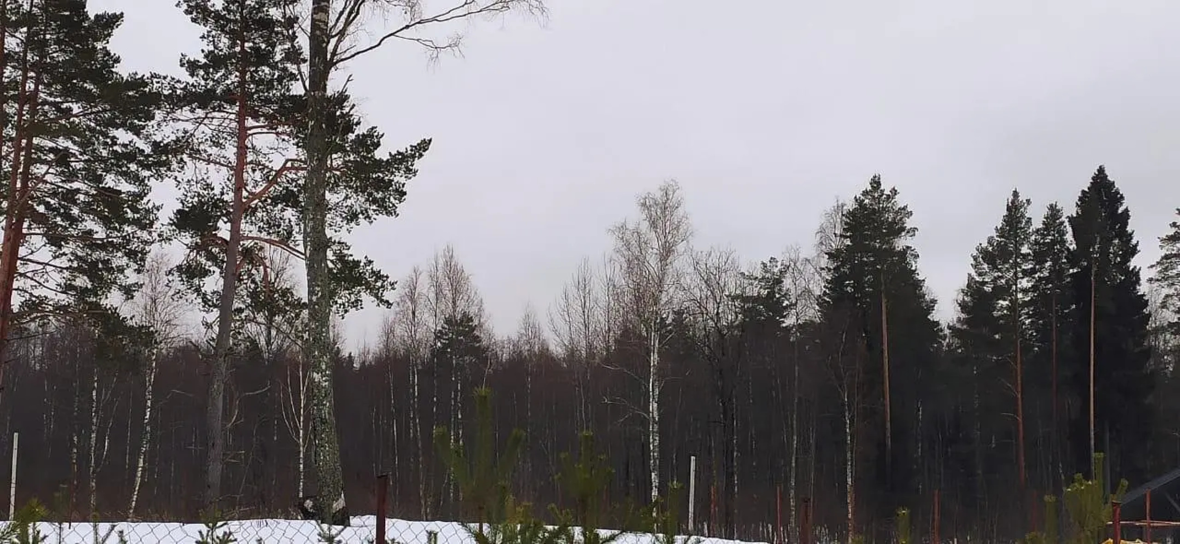 Коттедж рядом с Белоостровом