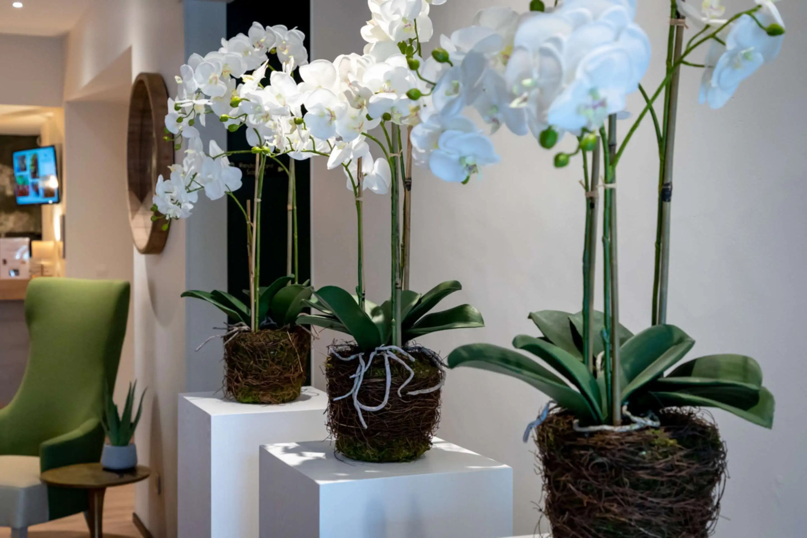 Best Western Auray Le Loch