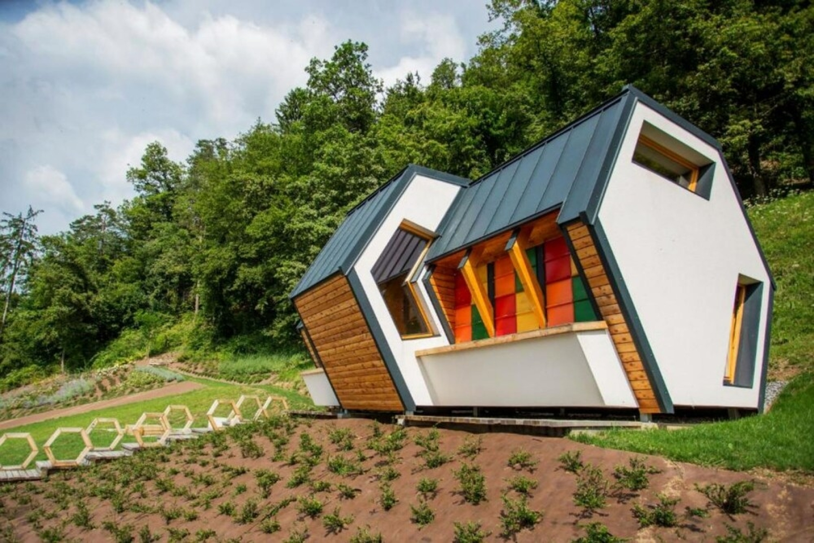 Wellness Suite Viola