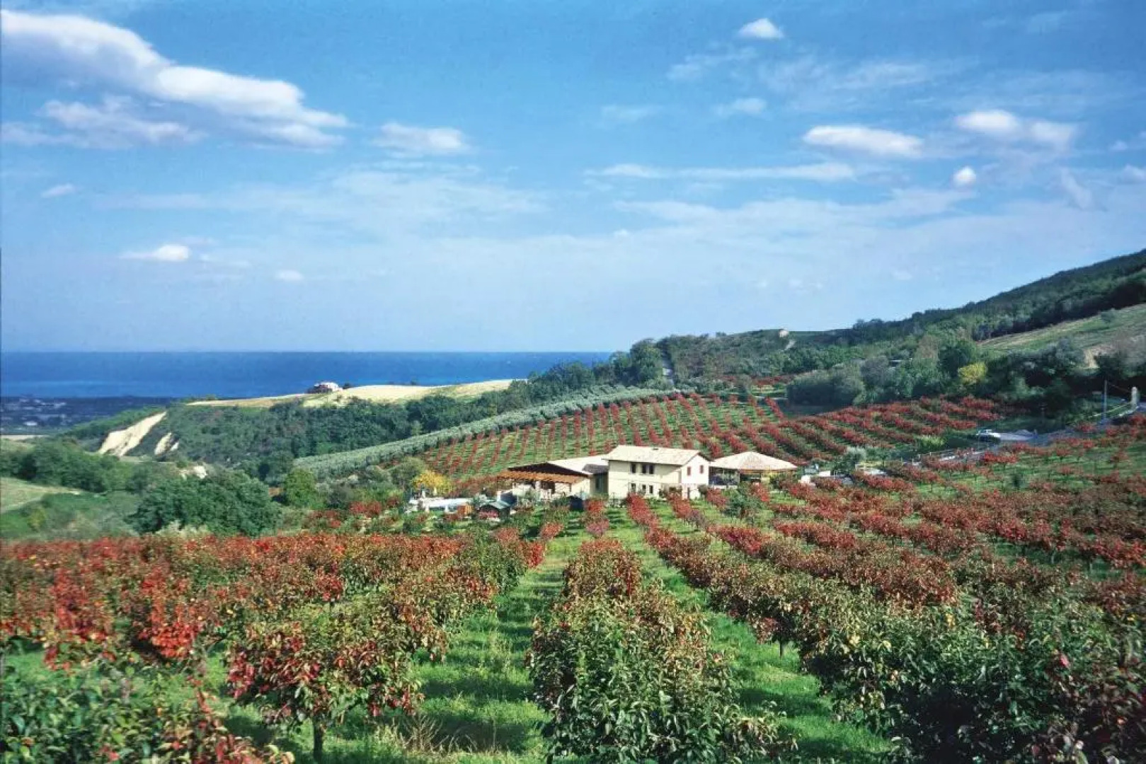 Country House Il Cascinale