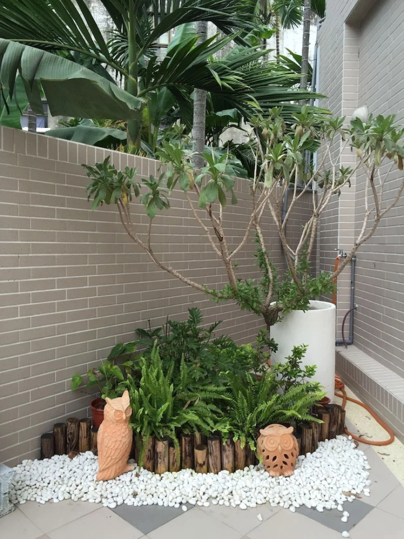 Summerle No 11 Hostel