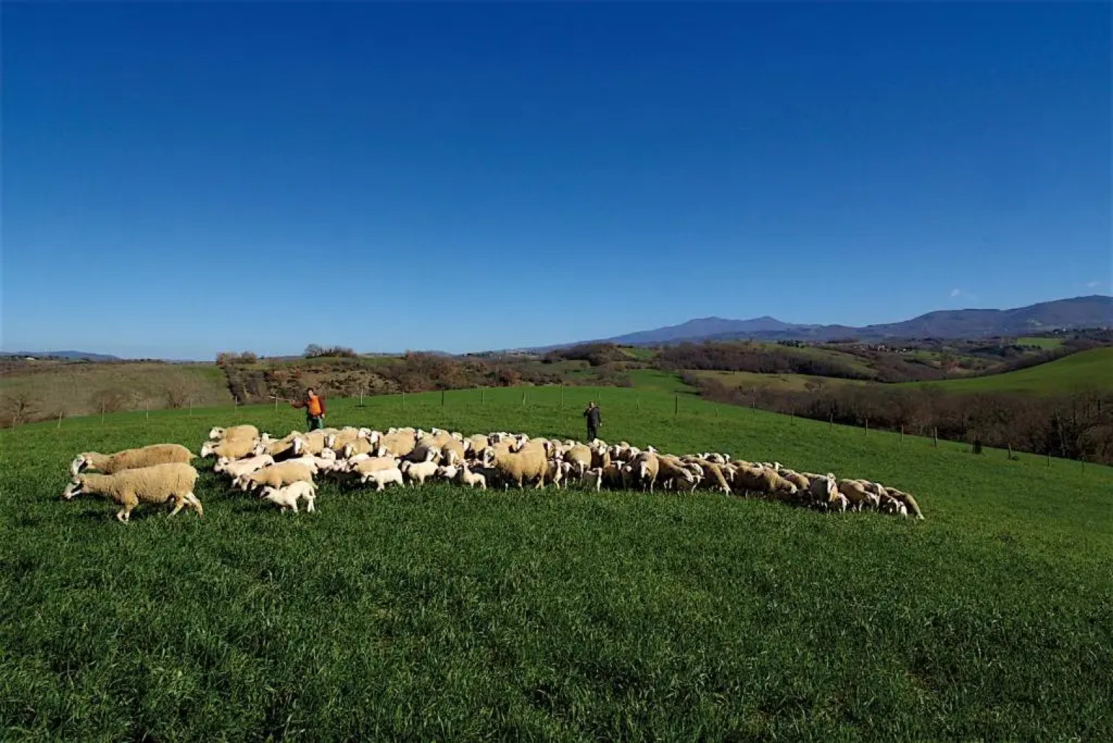 Agriturismo Le Calle