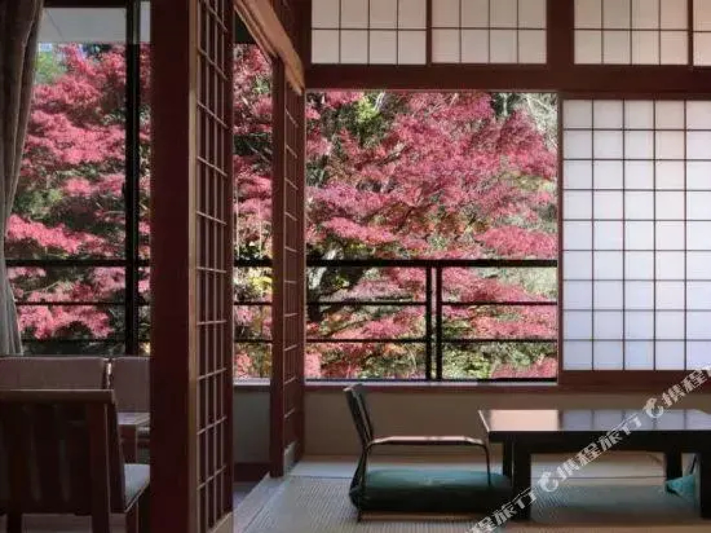 Ujo no Yado Shintsuta