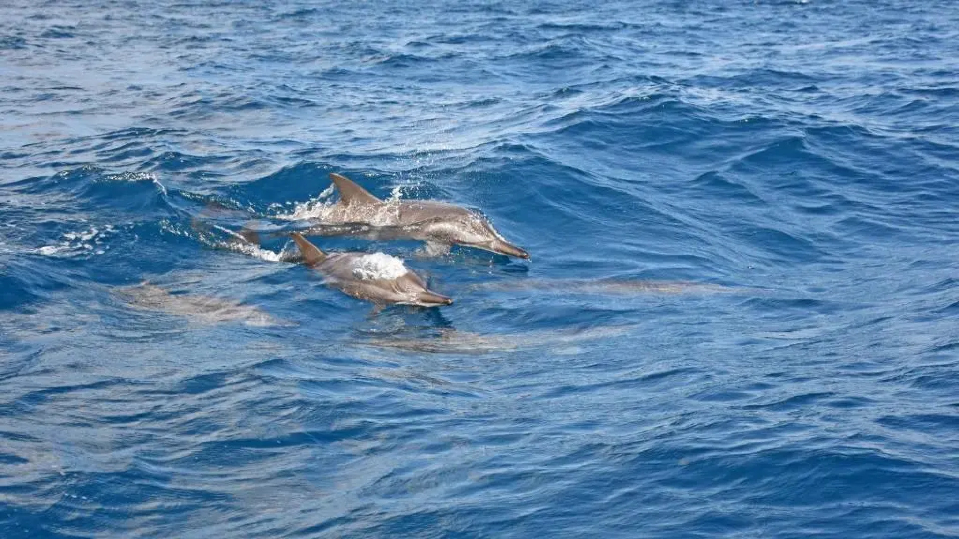 Отель Melheim Beach