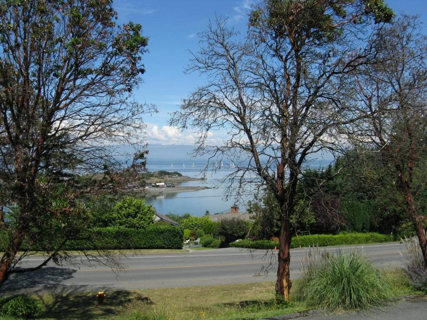 A Boutique Artful Suite