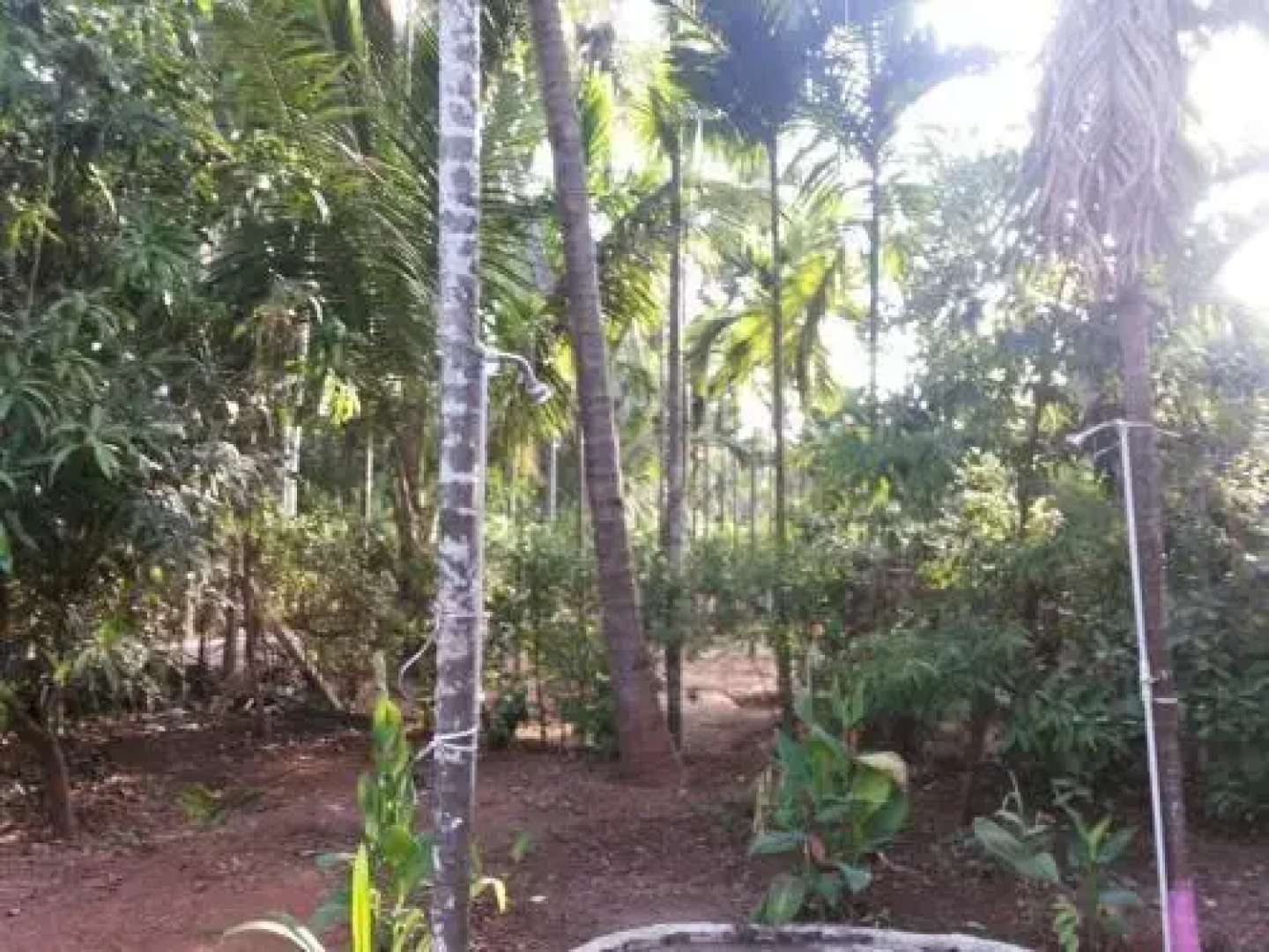 Tendulkar Beach Resort