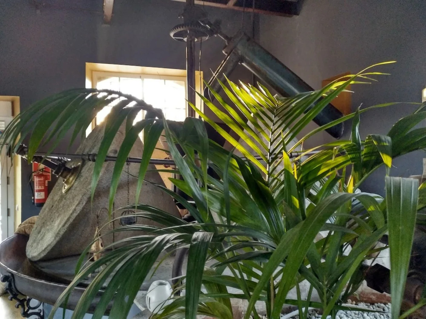 Almazara de San Pedro