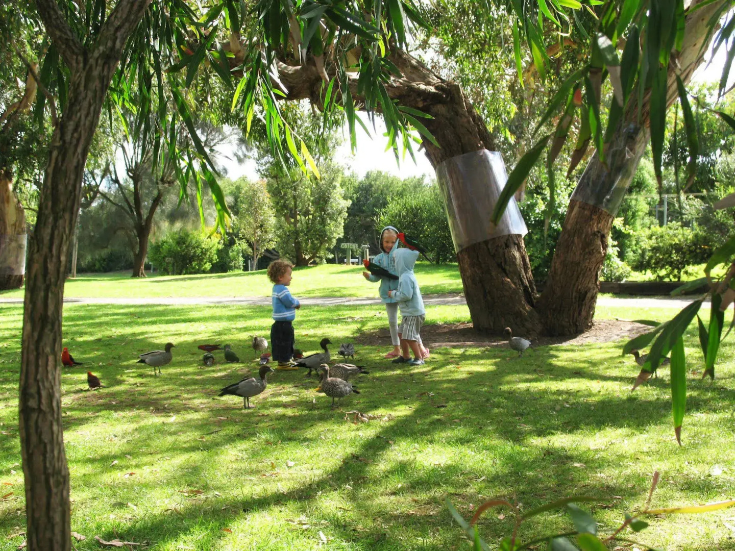Kennett River Family Caravan Park