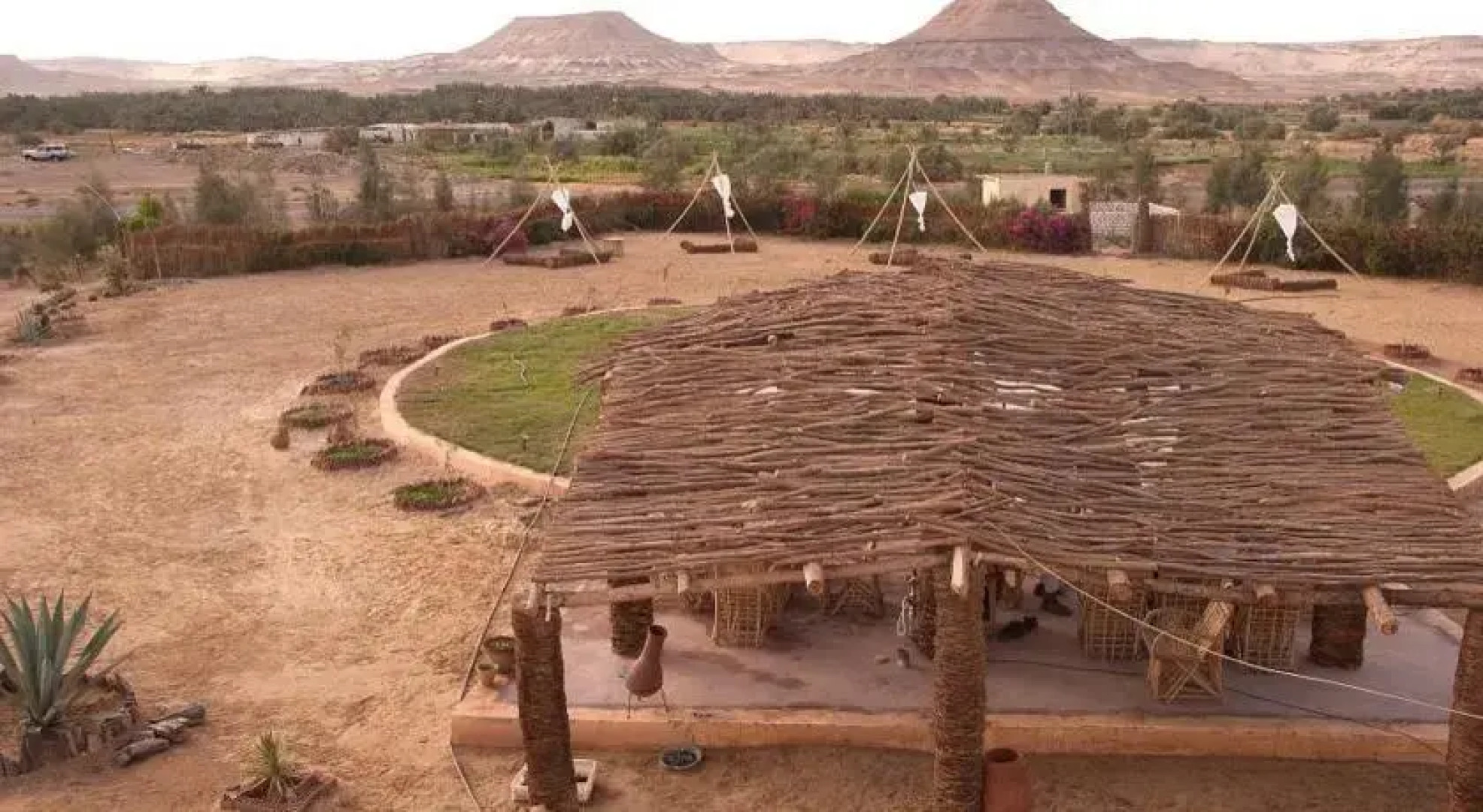 Desert Fox Club Camp